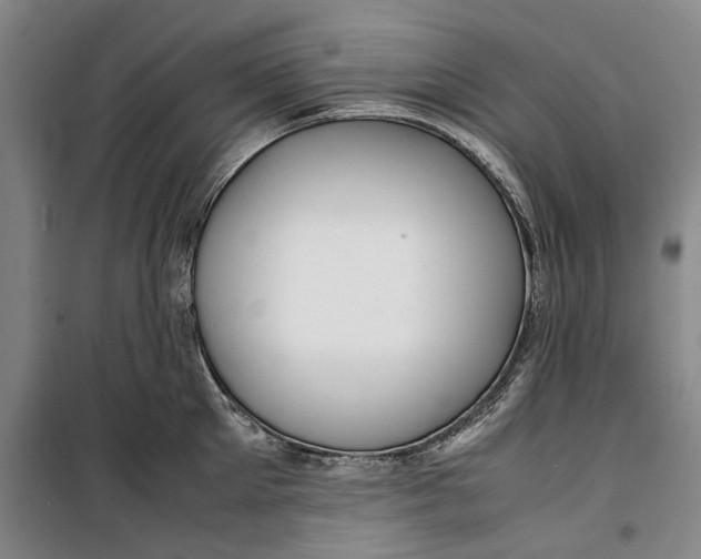 X0000099410905200805301343