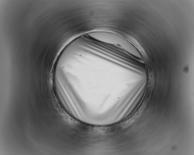 X0000099410908200805301343