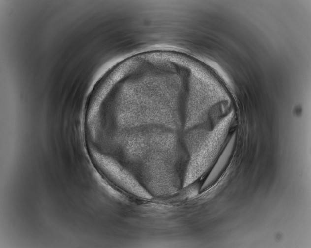 X0000099410910200805301343