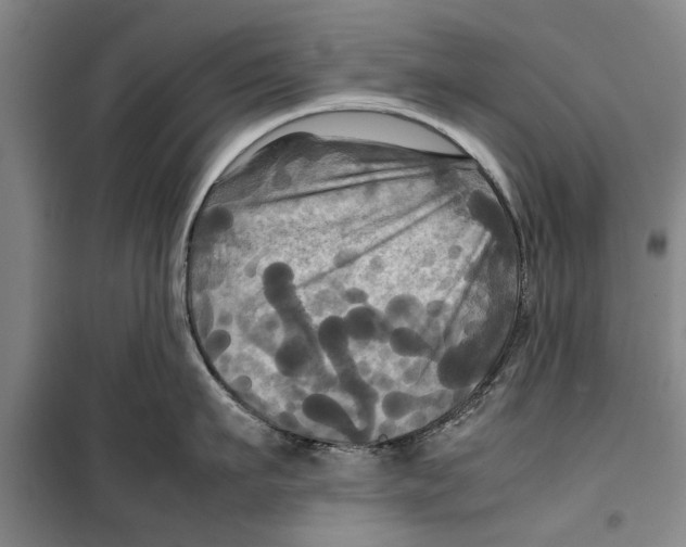 X0000099410911200805301343