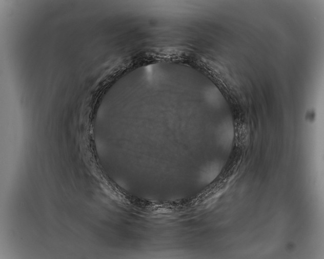 X0000099410913200805301342