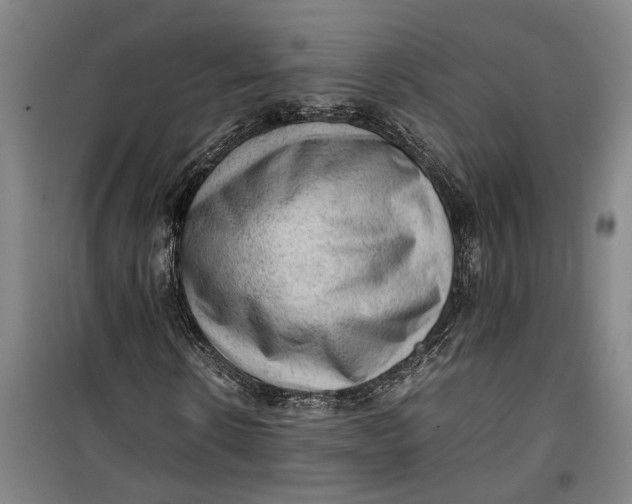 X0000099410914200805301342