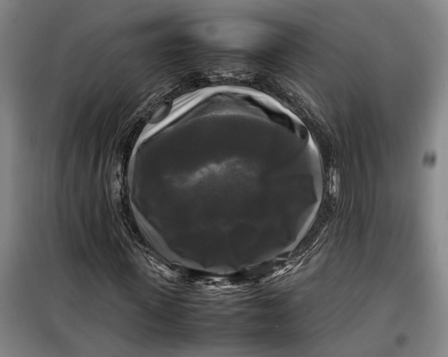 X0000099410915200805301342