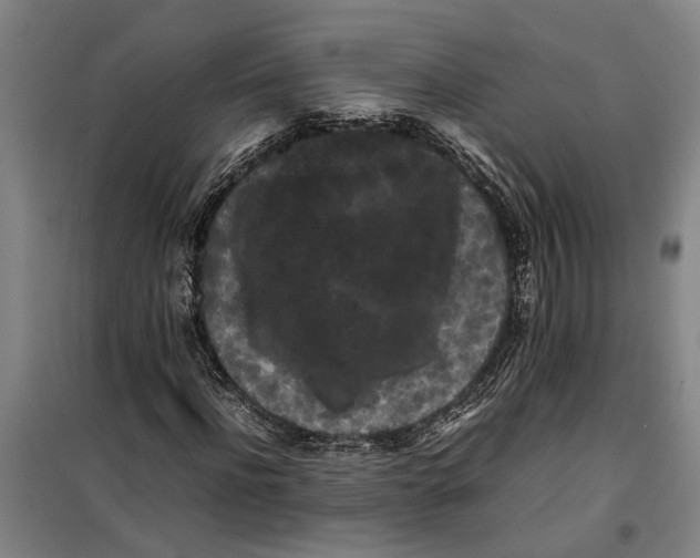 X0000099410916200805301342