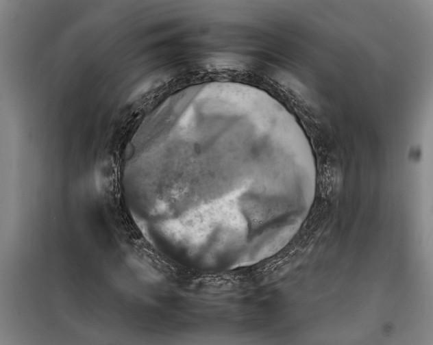 X0000099410917200805301342