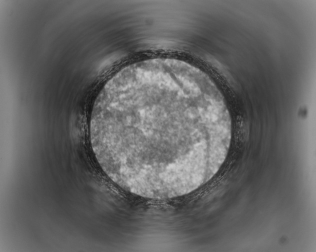 X0000099410918200805301342