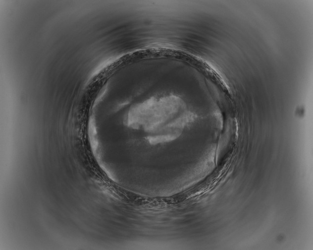 X0000099410919200805301342