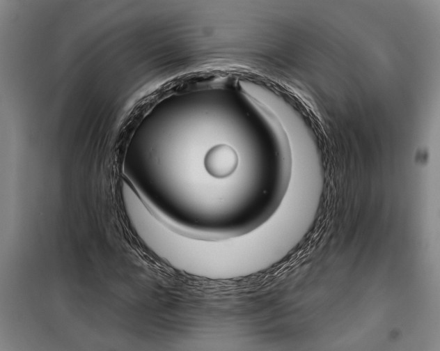 X0000099410920200805301342