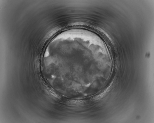 X0000099410921200805301342