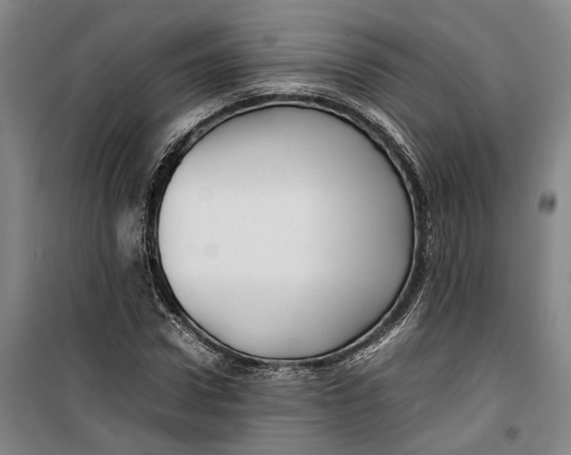 X0000099410922200805301342