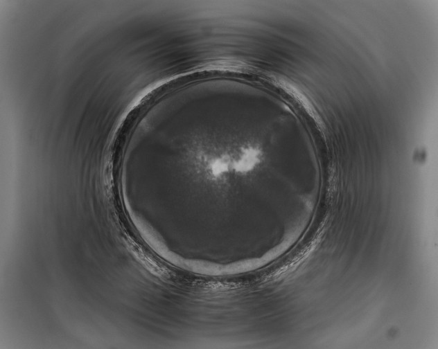 X0000099410923200805301342