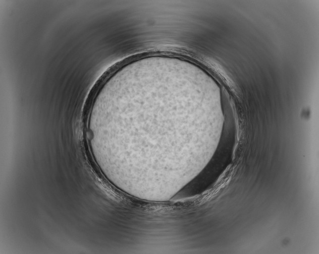 X0000099410924200805301342