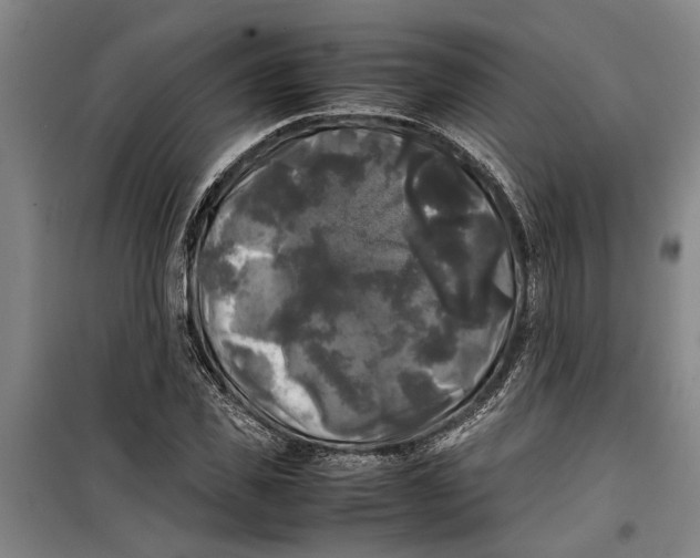 X0000099410925200805301342