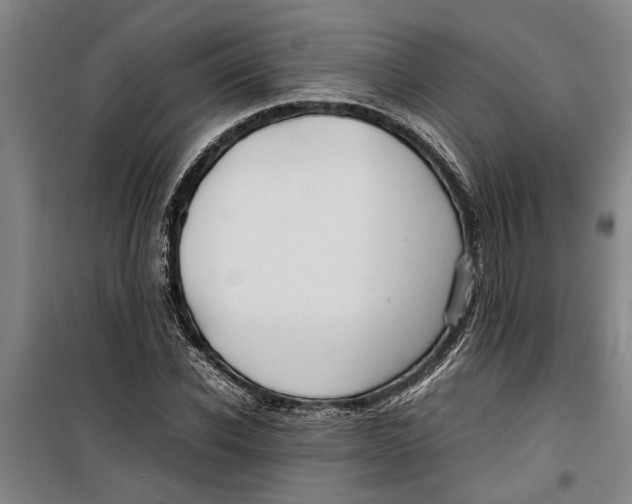 X0000099410926200805301342