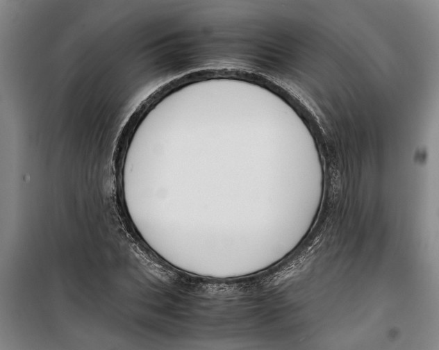 X0000099410927200805301342