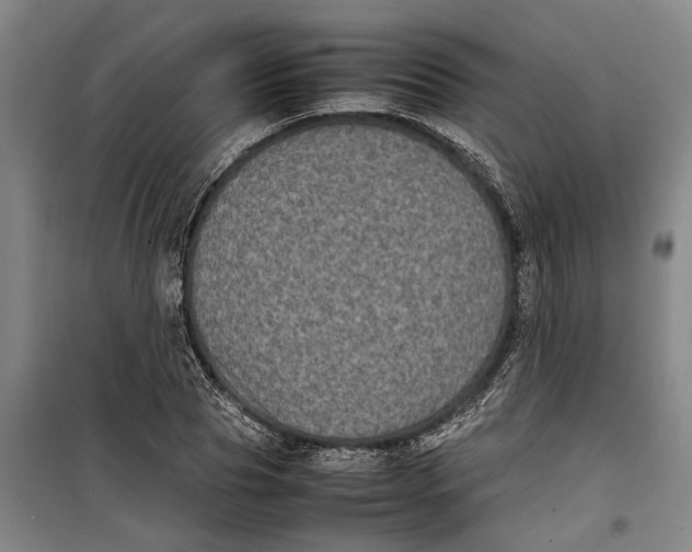 X0000099410929200805301342