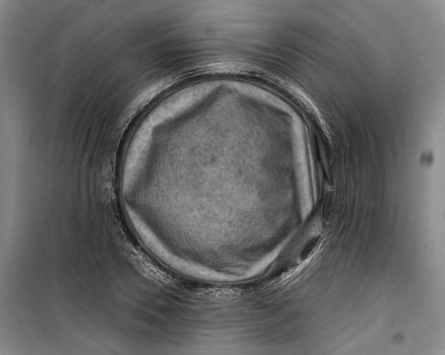 X0000099410930200805301342