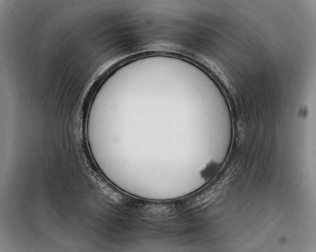 X0000099410931200805301342