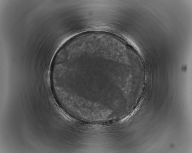 X0000099410932200805301342