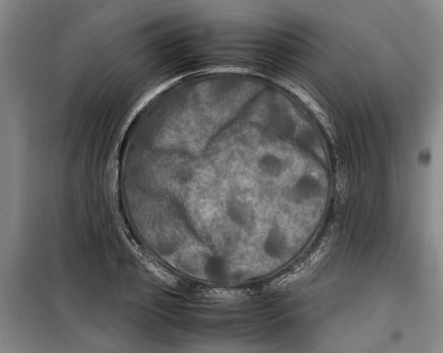 X0000099410933200805301342