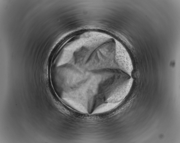 X0000099410934200805301342