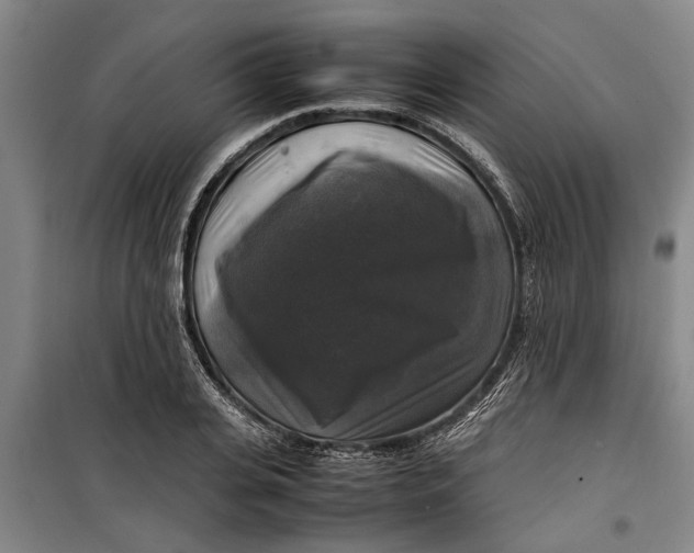 X0000099410935200805301342