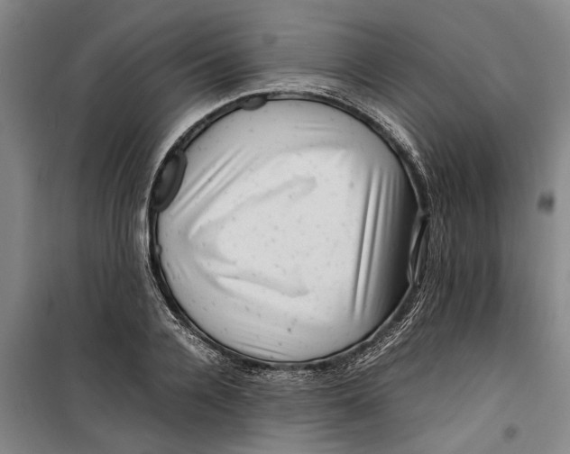 X0000099410936200805301342