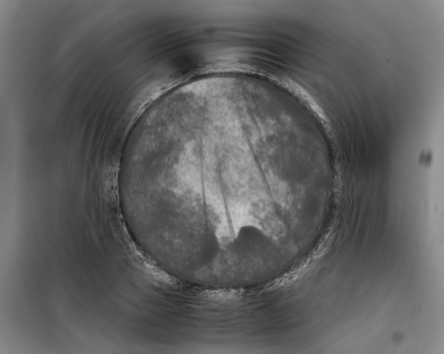 X0000099410937200805301342