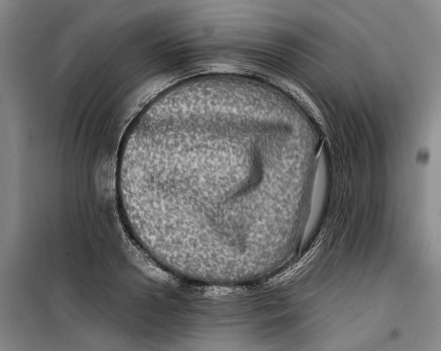 X0000099410938200805301342