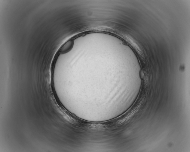 X0000099410940200805301342