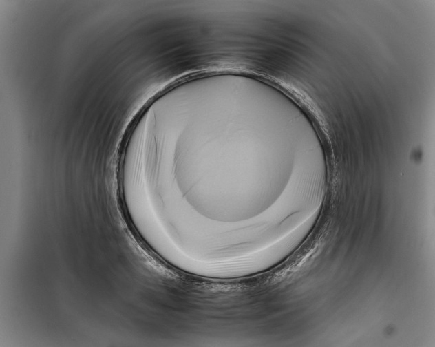 X0000099410941200805301342