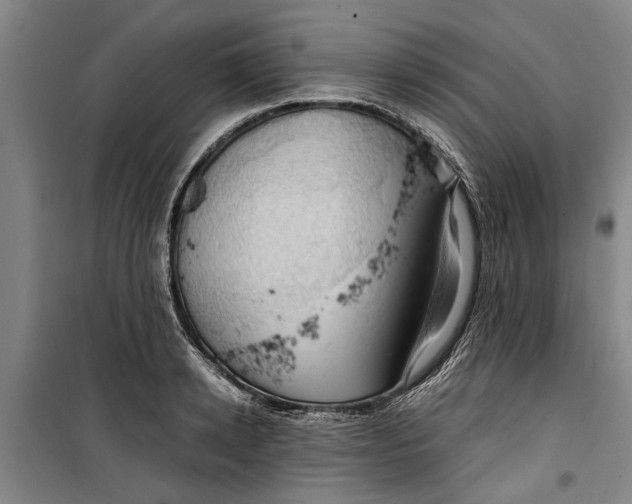 X0000099410942200805301342