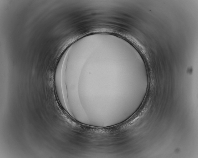 X0000099410945200805301343