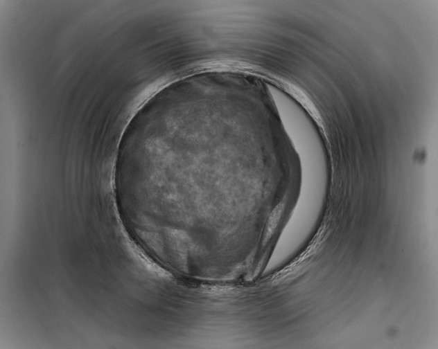 X0000099410946200805301343