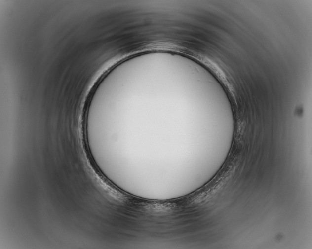 X0000099410947200805301343