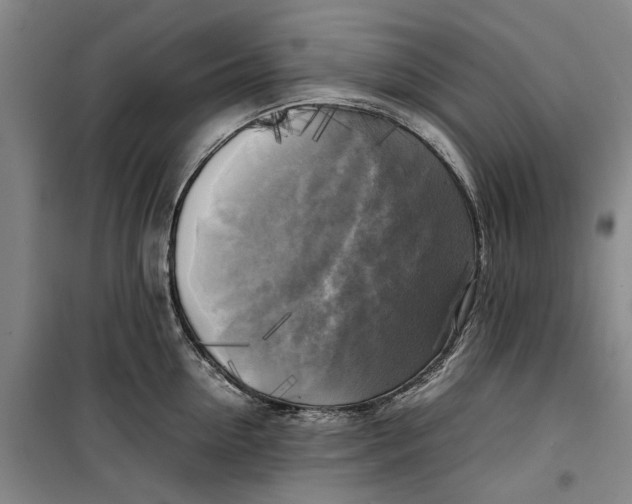 X0000099410954200805301343