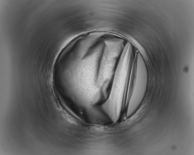 X0000099410956200805301343