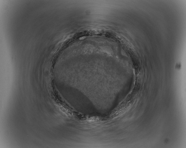 X0000099410961200805301342