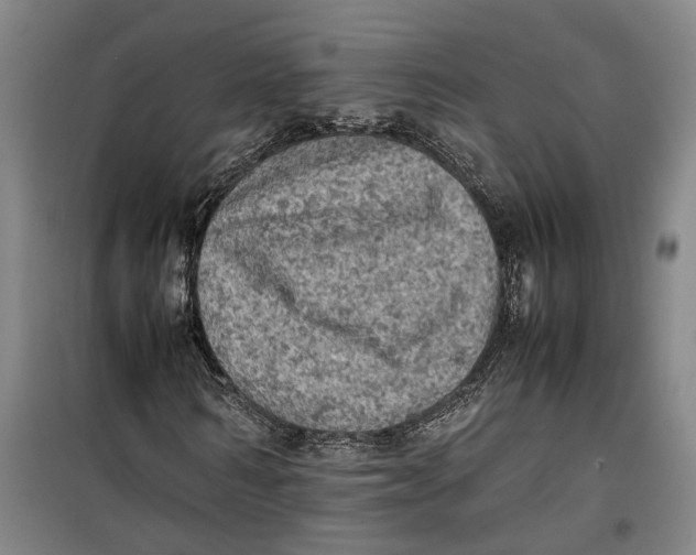 X0000099410962200805301342