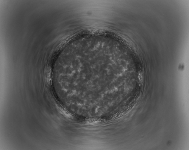 X0000099410963200805301342