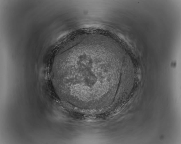 X0000099410965200805301342