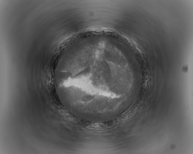 X0000099410966200805301342