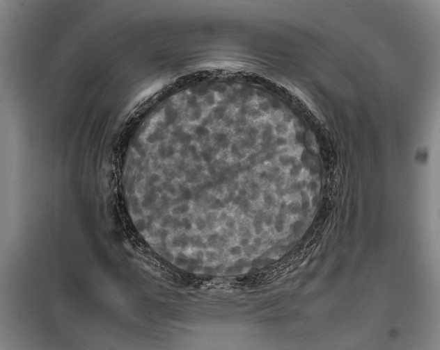 X0000099410967200805301342