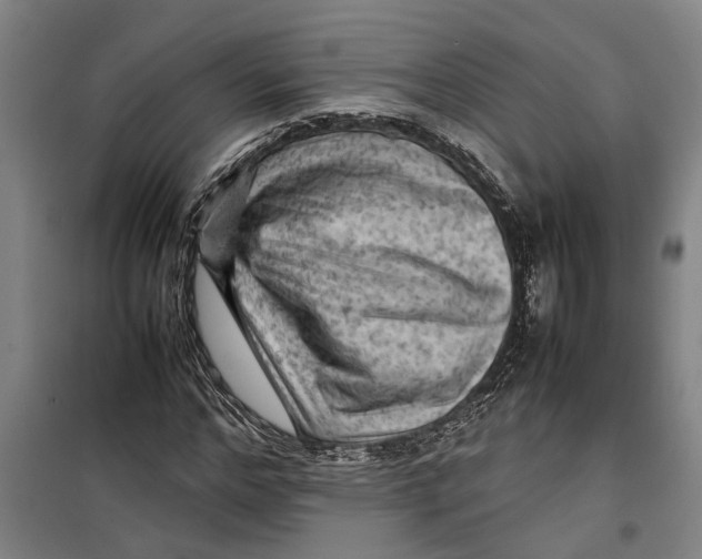 X0000099410968200805301342