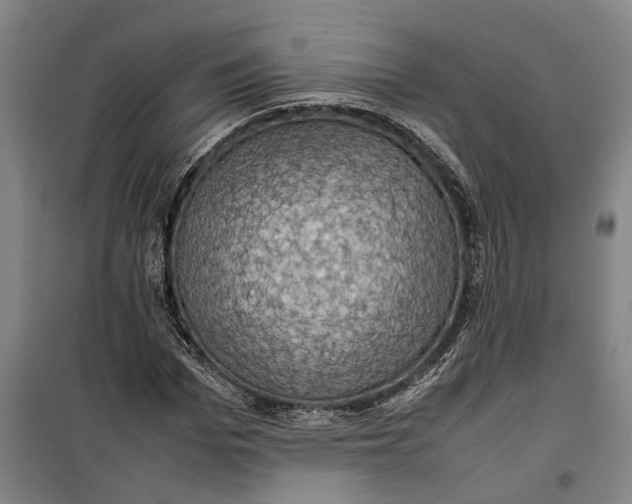 X0000099410969200805301342