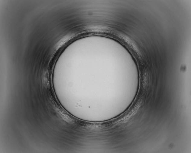 X0000099410970200805301342