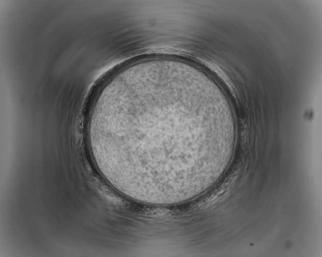 X0000099410971200805301342