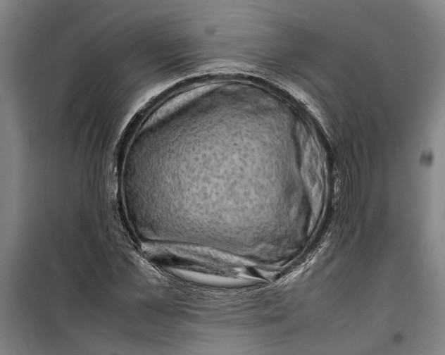 X0000099410973200805301342