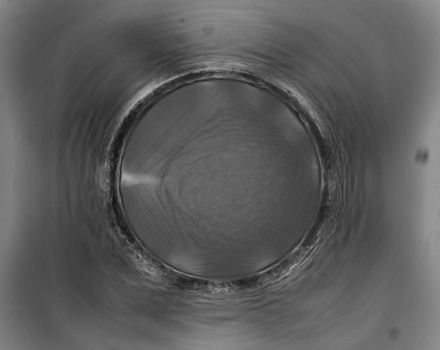 X0000099410975200805301342