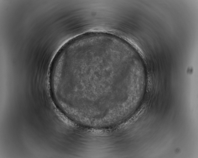 X0000099410976200805301342